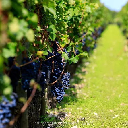 Elegance - Parc Bordelais Отель типа 